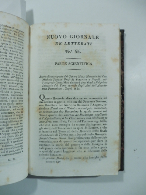 Sopra diverse specie del genere musa: memoria del Cav. Michele Tenore...(Stralcio da: Nuovo giornale de' letterati. N. 65. N. 68. 1832 - 1833)